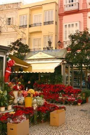 Plazas